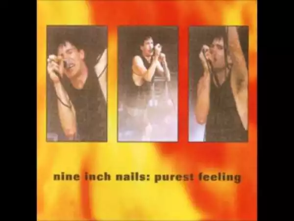 Nine Inch Nails - Kinda I Want To